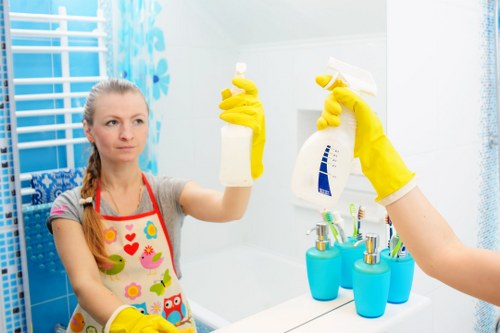 Professional carpet cleaning in a Roehampton home