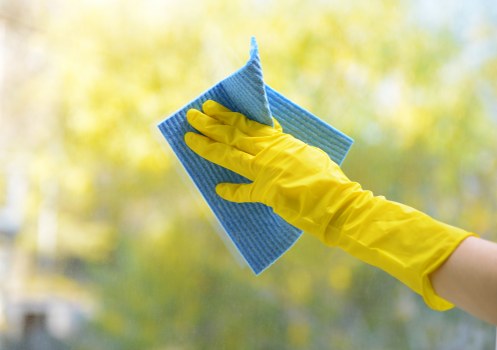 Professional carpet cleaning service setup with cleaning equipment