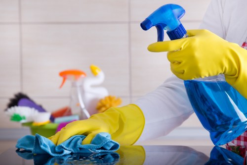 Eco-friendly rug cleaning process for a household rug in Roehampton
