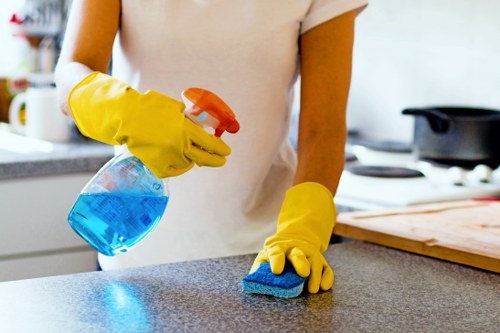 Professional sofa cleaning service in Roehampton refreshing a fabric sofa