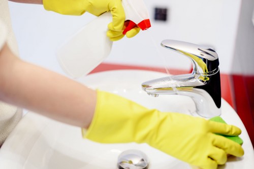 Deep cleaning process for a living room sofa in Roehampton home