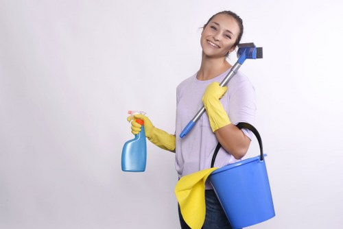 Trusted Roehampton carpet cleaner delivering professional care