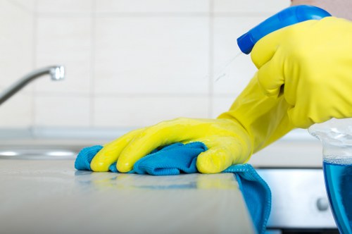 Local carpet cleaning company serving homes and businesses in Roehampton