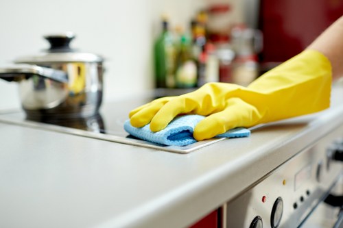 Local mattress cleaning service for Roehampton residents