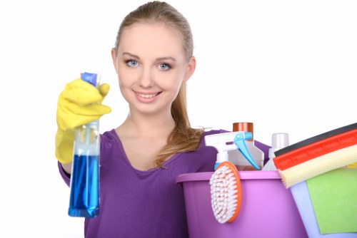 Deep carpet cleaning process in a local property