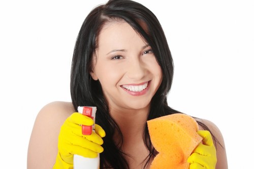Stain and odour treatment during mattress cleaning in Roehampton