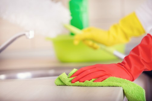 Upholstery and rug cleaning for stubborn pet smells in Roehampton
